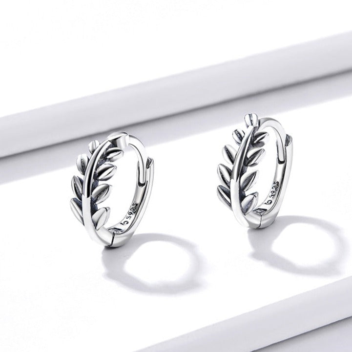 créoles Homme FEUILLE LAURIER