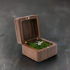 Petite Boîte à Bijoux en Bois - Mousse